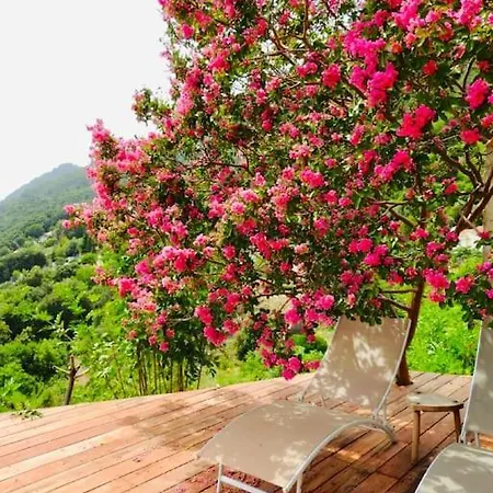 Authentique Maison De Village Corse Vue Holiday home